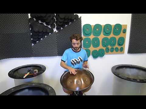 Spacedrum® handpan "Ragadesh" 8 notes/55 cm