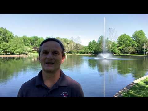 Understand and Embrace Life's Contrast