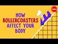 How Rollercoasters Affect Your Body Brian D Avery