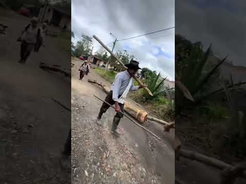 La tradición viva en #SanEduardo en el 10° Festival de la Arriería y de Bueyes de Tiro 2025.