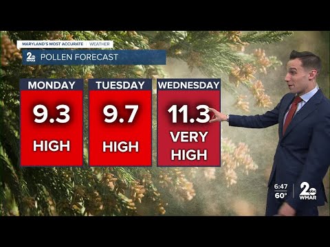 Baltimore Pollen
