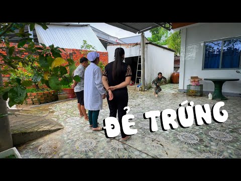 Đẻ Trứng #videogiaitri #vochongson #nguyenhuyvlog