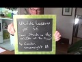 begginers ukulele lesson # 56, Dead Skunk by Loudon Wainwright III