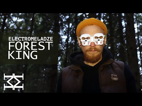 Electromeladze - Forest King | Progressive House & Melodic Techno | Live Dj Mix