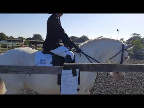 Chloey Spriggs and Blue // E-riders Intro 1C// Online dressage test// June