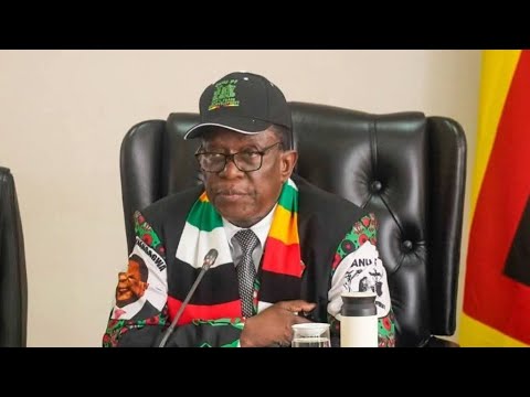 President Mnangagwa during a public address