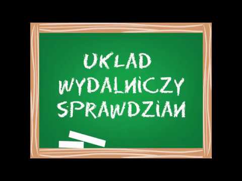 Układ wydalniczy Sprawdzian