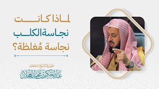 لماذا كانت نجاسة الكلب نجاسة مُغلظة؟ | د. عبد الحكيم العجلان image