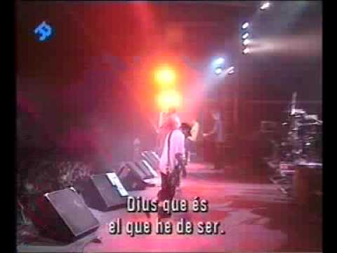 Videoclip de Portrait Of Authority (Live) — Bad Religion