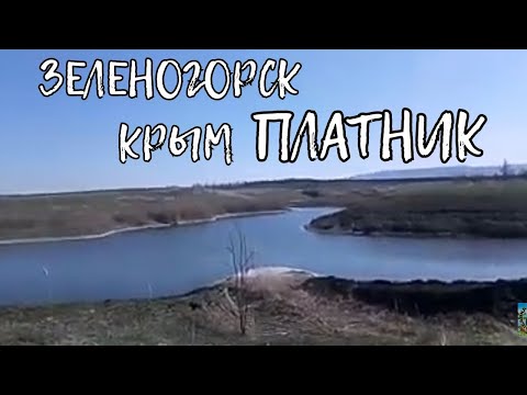 ЗЕЛЕНОГОРСК КРЫМ. ПЛАТНИК В ЗЕЛЕНОГОРСКЕ. ОЗЕРО ЗЕЛЕНОГОРСК КРЫМ. РЫБАЛКА НА КАРПА.