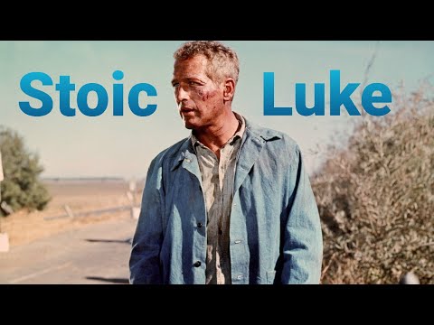 The Stoicism of Cool Hand Luke
