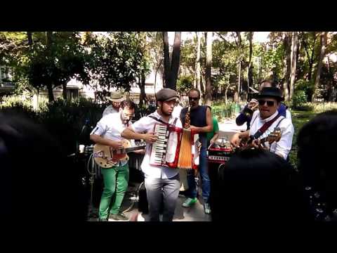 Paté de Fua - Celoso y desubicado
