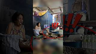 Download lagu Binatang liar terobos Nenek kaget mp3