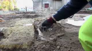 preview picture of video 'Visite du chantier d'archeologie préventive de Villenave d'Ornon'
