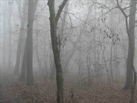 Estatic Fear - Chapter V