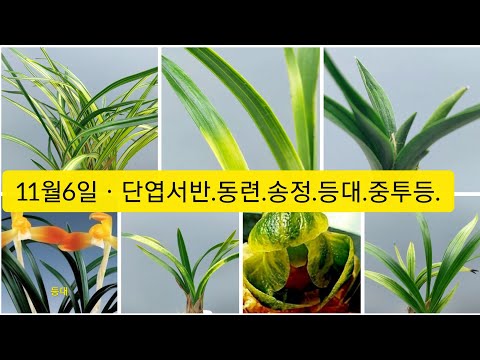 유튜브 썸네일