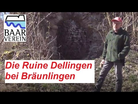 Baarverein-Ruine Dellingen