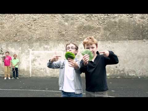 download lagu mp3 mp4 Les Arbres Malades Paroles, download lagu Les Arbres Malades Paroles gratis, unduh video klip Download Les Arbres Malades Paroles Mp3 dan Mp4 Full Gratis