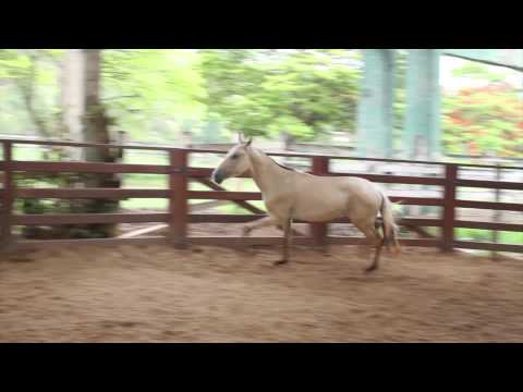 Basílica de Três Corações