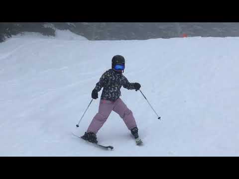 BC Family Day Skiing 2018