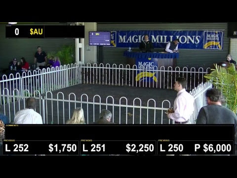 2017 Perth Winter Sale