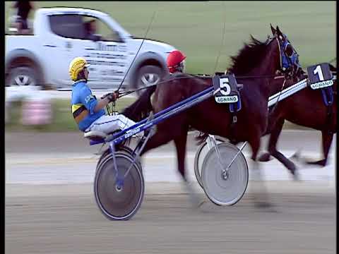 Trotto 22/06/2019 - 1ª corsa