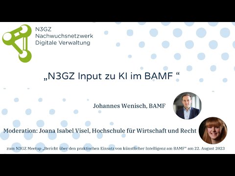 N3GZ Input zu KI im BAMF
