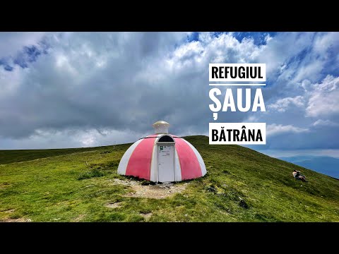 Traseu circuit Telecabina Peștera - Refugiul Șaua Bătrâna - Șaua Strunga - Cabana Padina