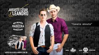 Cavalo enxuto - Augusto César e Leandro
