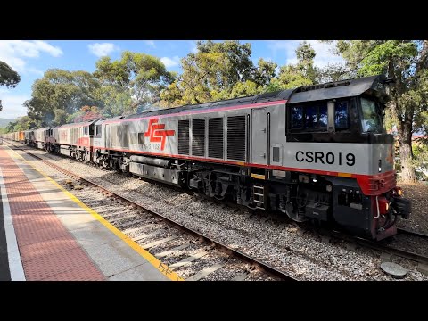 CSR019, CSR006, CSR009, CSR007, LZ3120 leads 4MP9 through Unley Park