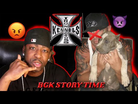 Iron Cross Kennels Story Time: BGK's first breeding & first puppy from crazy dude at ICK!