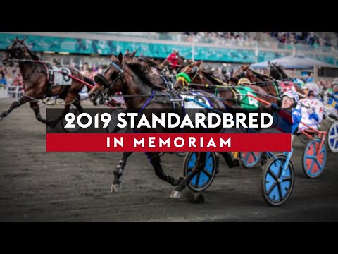 2019 Standardbred In Memoriam