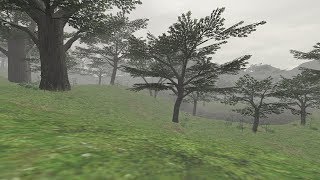 【FFXI】定点カメラ Leave Vana'diel『始まりの森、ロンフォール』【席を外します】