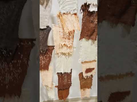 Arte en Resistencia 🎨 | 3er Premio Nacional de Artes Visuales del Chaco #MuseoRenéBruseau