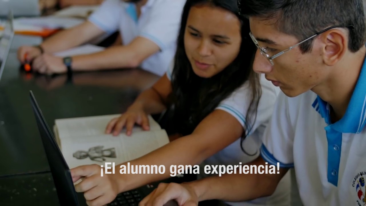 sector empresarial s