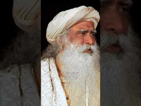 vp-g13