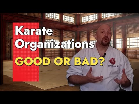 Karate Organizations, Good or Bad? | The Shotokan Chronicles
