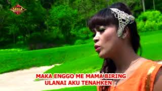 Download lagu ERWINA HANI BR BANGUN. TAGAN BISA mp3