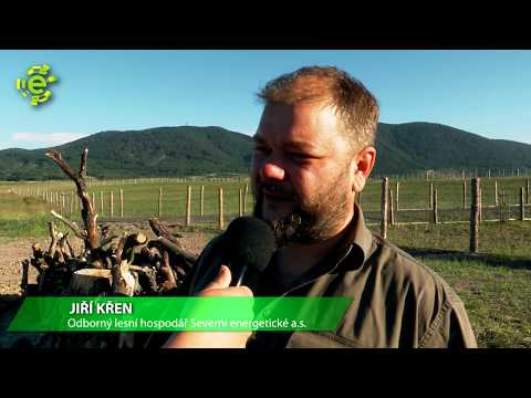 Jedinečné biotopy na rekultivaci lomu ČSA