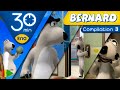 Bernard Bear Collection 03 30 Minutes