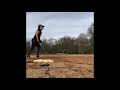 Fielding Work and Hitting