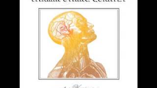 Eraser Vitamin String Quartet to No Age