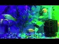 Islamic Background Music 30 Second Free Music