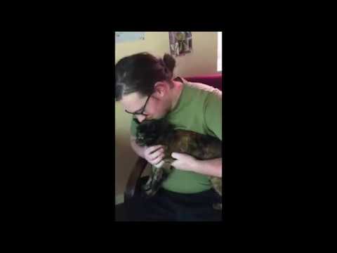 We All Love Our Pets