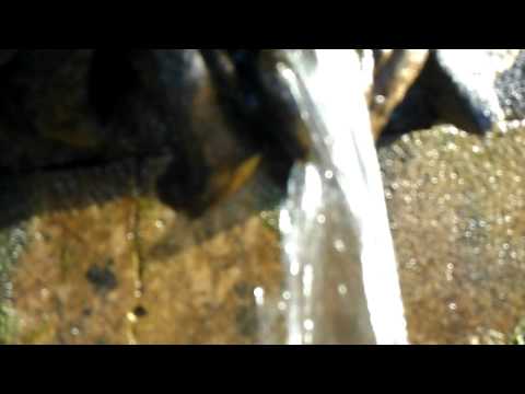 Samsung ST93 Digital Camera Test Video With Zoom