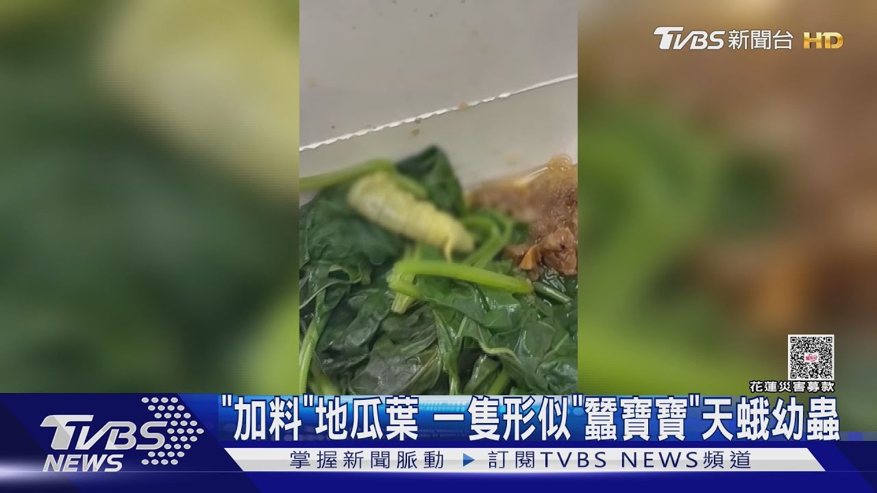高雄小吃店青菜藏巨蟲！消費者嚇傻　專家：這是無毒天蛾幼蟲