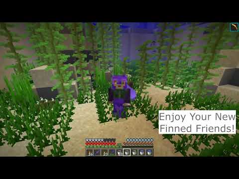 How To Collect Tropical Fish || Minecraft How To ||...