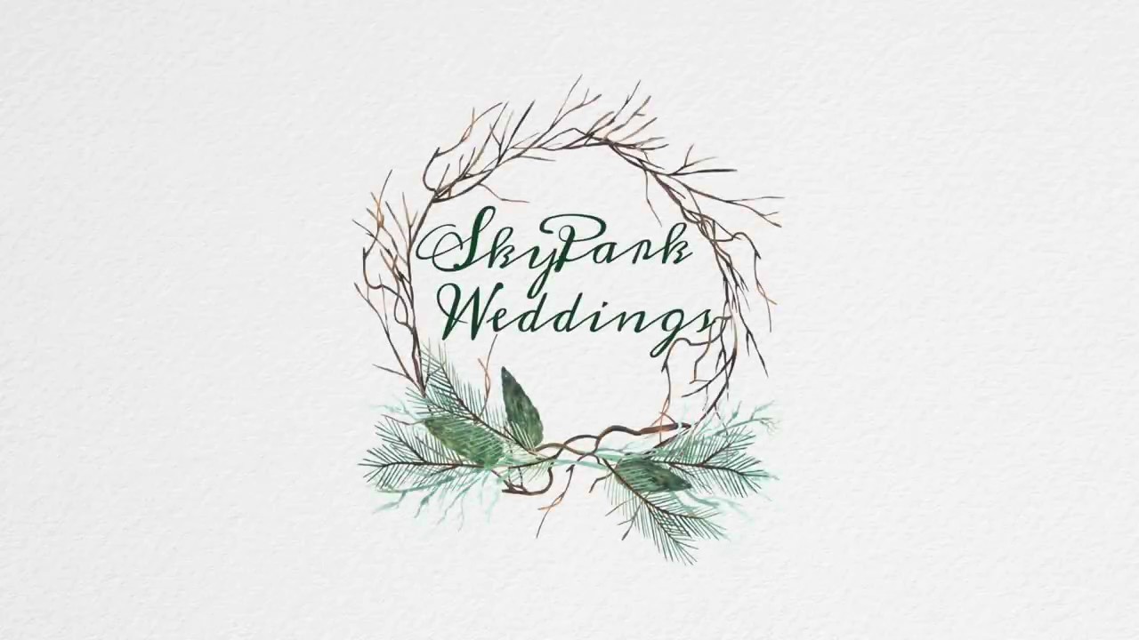 How Much Is a Wedding at SkyPark?