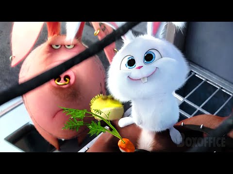 Max y Duke son rescatados del control de animales | La vida secreta de tus mascotas | Clip Español