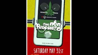 The Non-Prophets - More Than a Feeling (demo)